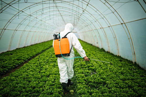 Best Best Pest Control Companies  in Newark, DE